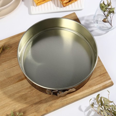 Form for baking and layout with the size of the size “Nikis”, D = 24 cm, h = 6 cm, anti -stick coating, color mix-18