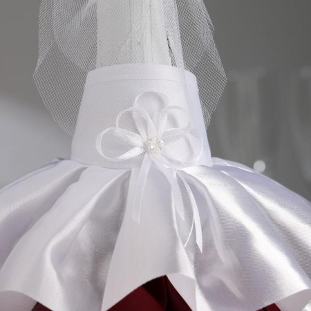 Jewelry for champagne "Elite", Marsala-2
