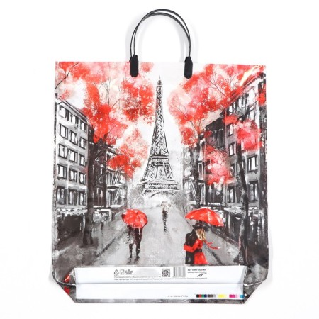 Paris package, polyethylene with a plastic pen, 100 μm 44 x 40 cm-1