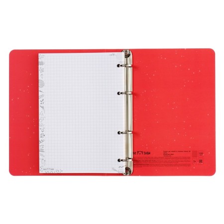 Notebook on A5 rings, 100 sheets in the Meshu Amazing Cats cage, cover coated cardboard, matte lamination, selective UV-clock-6