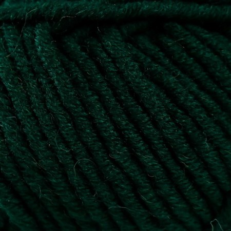Yarn "Merino Bulky" 25% wool 75% acrylic 100m/100g (590 dark green)-2