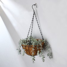 Cashpo suspended, d = 20 cm, with coconut insert, 