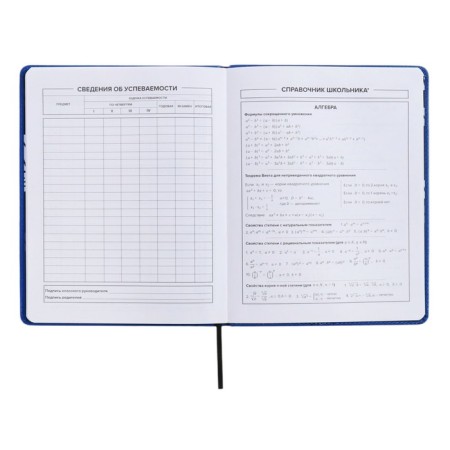 School diary for grades 1-11 Prividies, hard cover, artificial leather, foil embossing, tin-rush, liesse, 48 sheets, universal cheat sheet, block 80g/m2-8