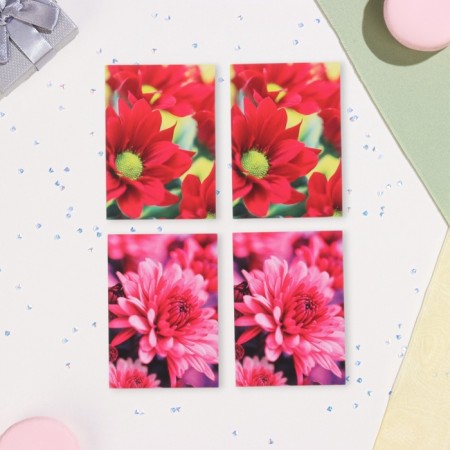 Set of mini -postcard "wishes - 3" chamomile, 40 pieces, 5 x 7 cm-4