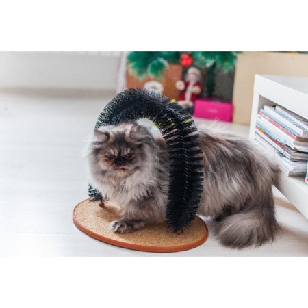 Complex for cats with claws and arch arch-4