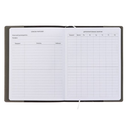Universal diary for grade 1-11 GREY, soft cover, artificial leather, thermo embossing, liesse, 80 g/m2-3