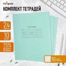 A set of notebooks of 10 pieces, 24 sheets in the cage of the Green Cover PDA, block No. 2, whiteness 75% (gray sheets)