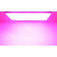 Suspended LED lamp for GUSOBOBOKS 
