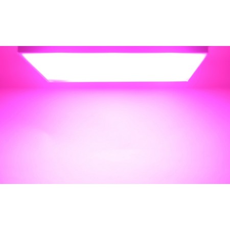 Suspended LED lamp for GUSOBOBOKS "Izis" 500W