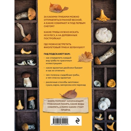 Mushrooms. Illustrated guide by popular species. Yaroshchuk A.I.-1