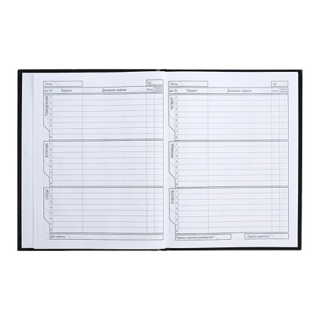 Universal diary for grades 1-11 Drone, hard cover, glossy lamination, 40 sheets-7