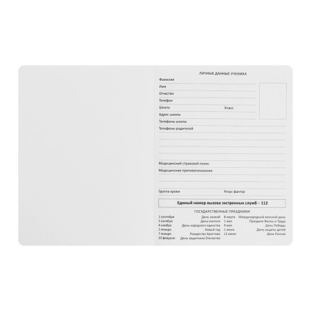Universal diary for grade 1-11 "subscriber is not available", integral cover, artificial leather, silkography, liesse, 80 g/m2-3