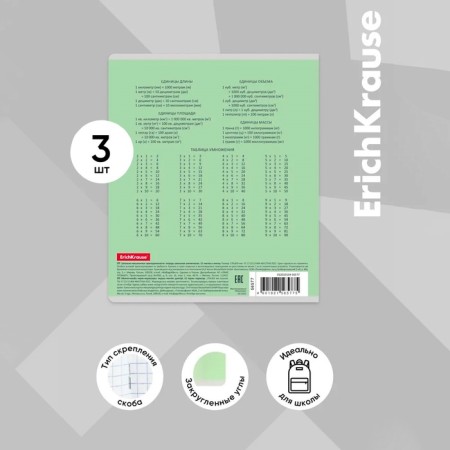 Notebook of 12 sheets in the Erichkrause Class "Classic", cover coated cardboard, offset block, green-4