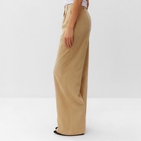 Women's pants Mist Velvet, p. M beige-1