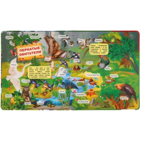 100 secret windows. Forest animals-1