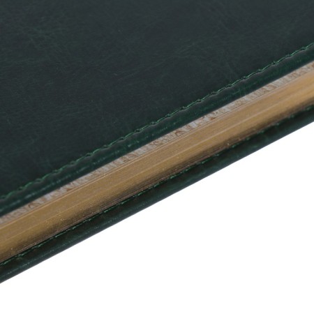 Diary of Leduced A4, 136 sheets of Sidney Nebraska, solid cover, artificial leather, gold cut, liesse, green-2
