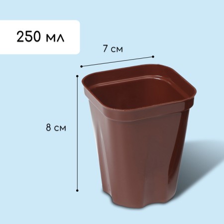 Set for seedlings: glasses of 250 ml (6 pcs.), Container 24 × 16 cm, mix-1