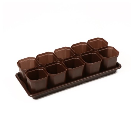 Set for seedlings: glasses of 300 ml (10 pcs), pan 41 × 17 cm, color mix-12