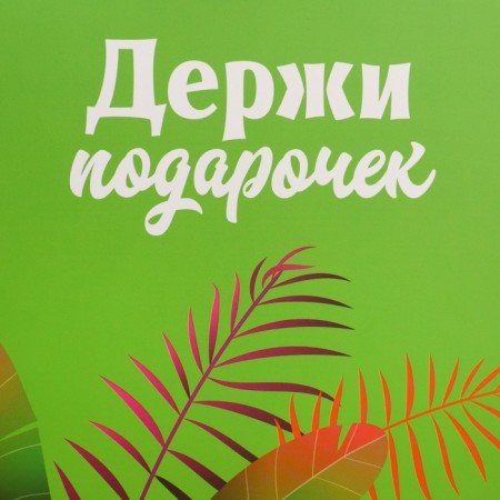Gift package with a mold valve, packaging, “Lion”, 23 x 27 x 11.5 cm-5