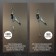 The winch lever tundra, double ratchet wheel, thrust 4 t (rise 1.6 t), cable 2.5 meters
