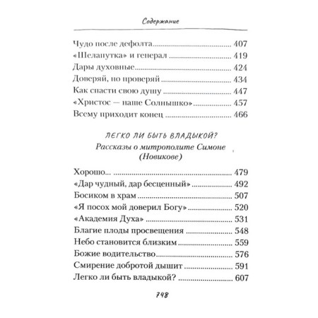 Ладонью солнце не закрыть. Евсин И.-4