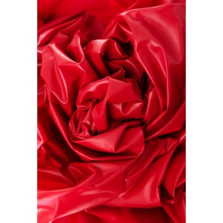 Black & Red toyfa, PVC, red sex sheet-5