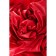 Black & Red toyfa, PVC, red sex sheet