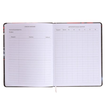 Universal diary for grade 1-11 Born for Speed, solid cover, artificial leather, foam rubber, liesse, 80 g/m2-5