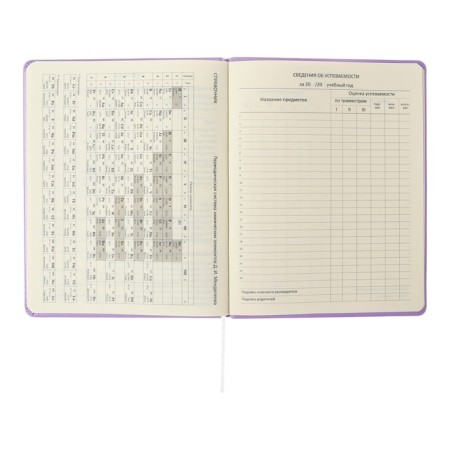 Universal diary for grade 1-11 Lovely Girl, solid cover, artificial leather, foam rubber, silk-screen printing, liesse, 80 g/m2-10