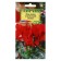 Flowers Cyclamen "Julia", 3 pcs.