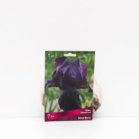 Iris Borodnoy "Black Vatch", 1 pc, rr I, spring 2025