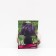 Iris Borodnoy "Black Vatch", 1 pc, rr I, spring 2025