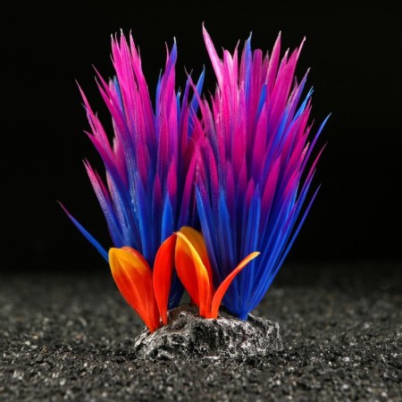 Artificial aquarium plant, 18 x 10 x 11.5 cm, red-violet-1