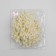 Decorative braid with pompons, 25 ± 5 mm, 9.1 ± 0.5 m, milk color