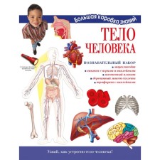 Тело человека. Познавательный набор. Торчинская М. О.