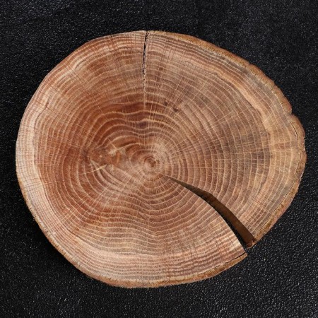 SPIL-DOSKA TORTSEVA "Oak", 20-25 x 3 cm-2