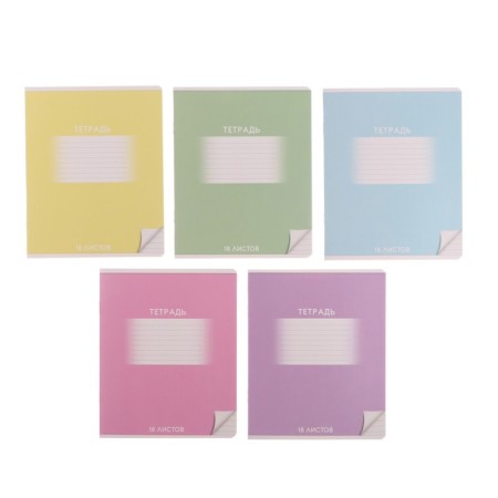 A notebook of 18 sheets in the Calligrata "School" line, covered cartoon, varnish, lacquer, white -white, 95%, mix