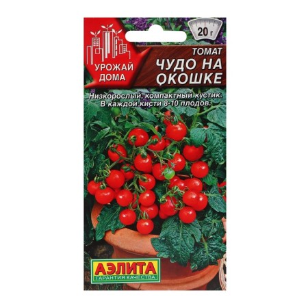 Seed tomato "Miracle on the window" ts/p, 20 pcs