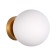 Wall lamp EVOLUCE. SL717.201.01. Acini. 1x40 W, E27, 18x18x22 cm, golden color