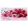 Carting clock is wall-mounted, on canvas, interior "delicate roses", silent, 40 x 76 cm