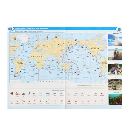 Geography "Atlas Grade 7"-5