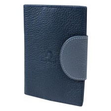 Cover for passport, blue color