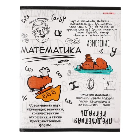 A notebook “Capybara”, 48 sheets in the “Mathematics” cage, covered cardboard, embossing flax, offset block