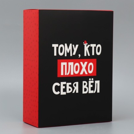 Folding box "with NG", 22 x 30 x 10 cm, new year