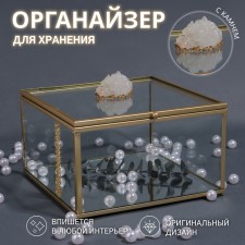 Organizer for storage 