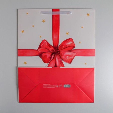 Gift Package Laminated, Packaging, For You, XL 49 x 40 x 19 cm-3