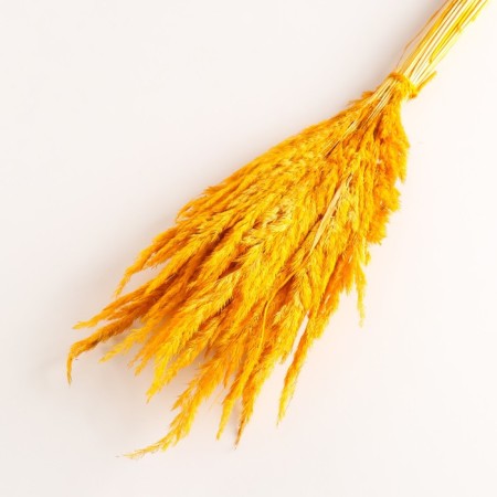 Set of dried flowers "Weinik", banch length 65 (+/- 6 cm), yellow-2