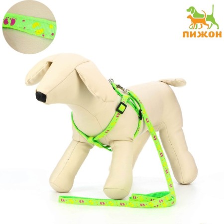 Set "Color Transes", leash 120 x 1 cm, fire 23-35 cm, green