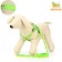 Set "Color Transes", leash 120 x 1 cm, fire 23-35 cm, green