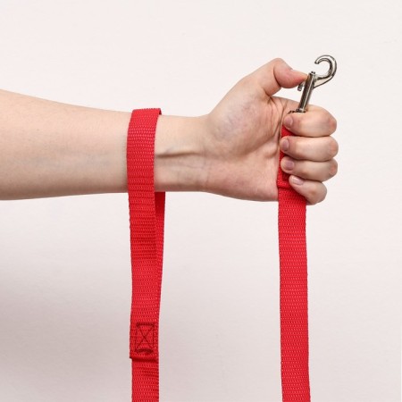 Leash of kapron -colored zoonik, 3 m x 2 cm, mix of flowers-6